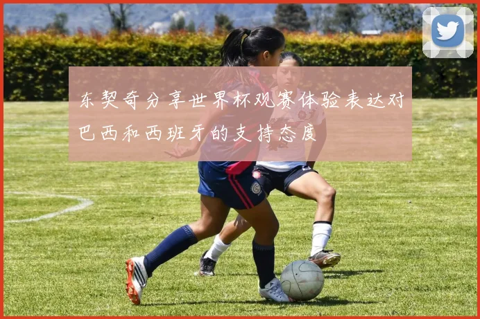 东契奇分享世界杯观赛体验表达对巴西和西班牙的支持态度