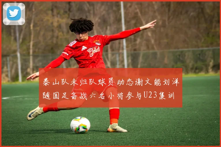 泰山队未归队球员动态谢文能刘洋随国足备战六名小将参与U23集训